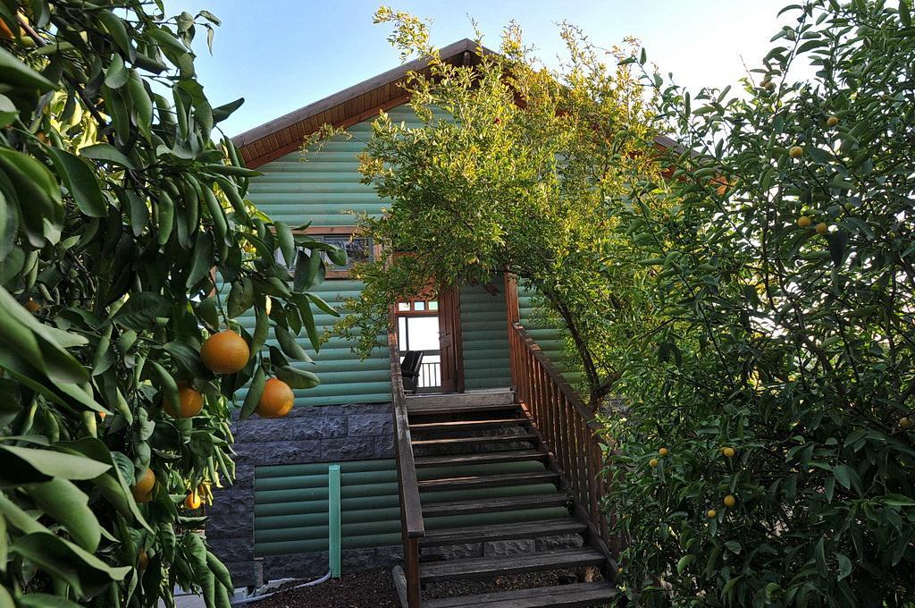 Sharvit Hakesem Villa Livnim Buitenkant foto